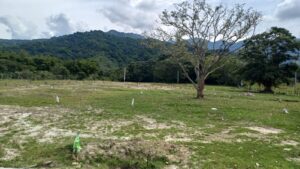 WhatsApp Image 2026 06 12 At 12.07.35 PM 300x169